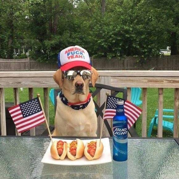 Meet your Posher, Steven - Picture 1 of 1